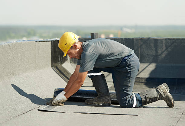 Best Geographic-Specific Insulation Services in Jellico, TN