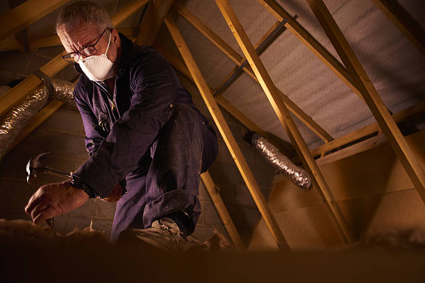 Best Specialized Insulation Services in Jellico, TN
